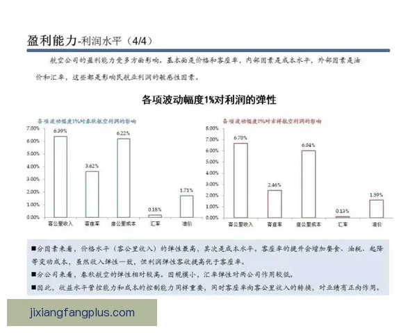 吉祥坊平台长期运行稳定性及用户体验全面解析