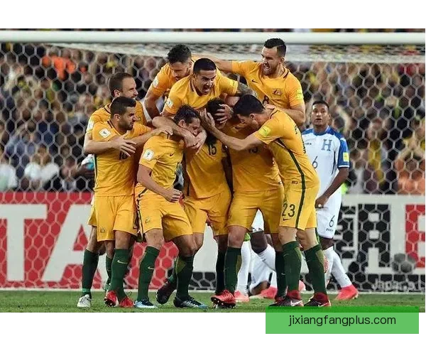 世界杯竞猜赔率分析与热门球队胜算预测全面解析